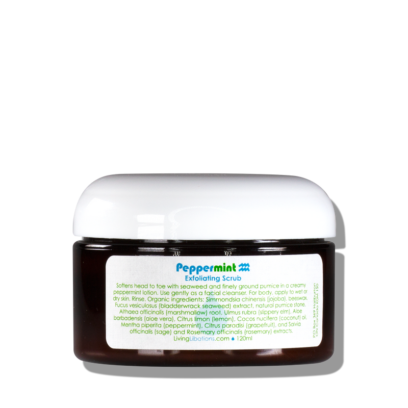 Peppermint Exfoliating Body Scrub